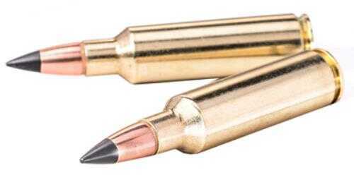 Winchester Ammo X243CLF Copper Impact 243 85 Gr 3260 Fps Extreme Point Lead-Free 20 Bx/10 Cs